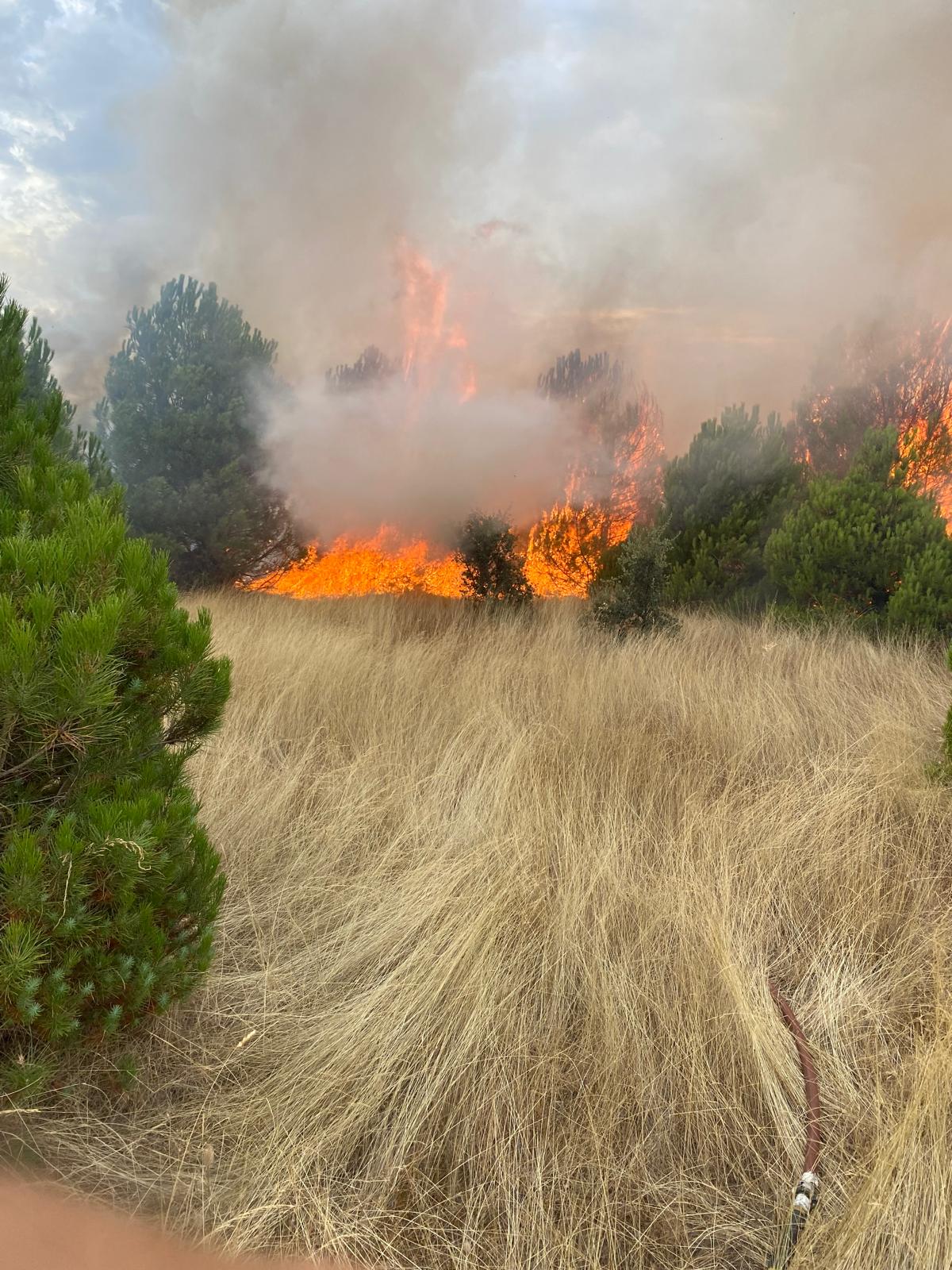 WhatsApp Image 2025 08 12 at 19.27.47