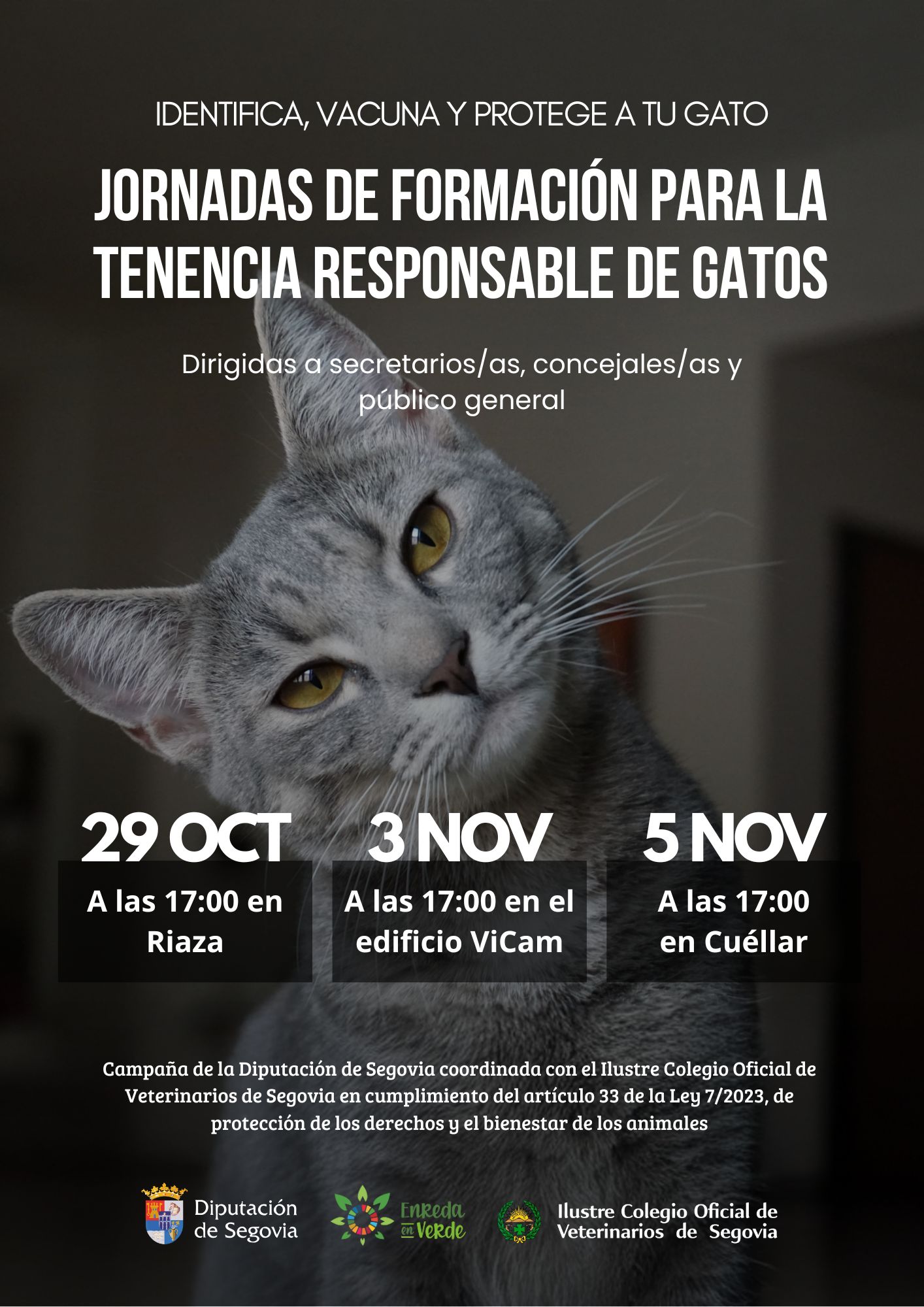 CARTEL GENERAL formacion para la tenencia responsable de gatos