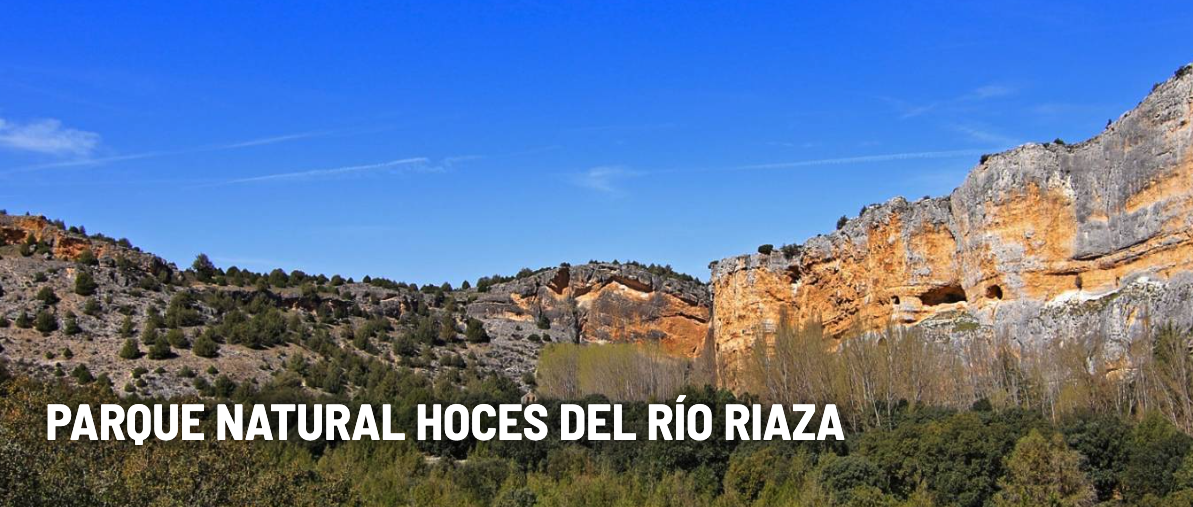 Captura de Pantalla 2025 10 23 a las 14.03.29