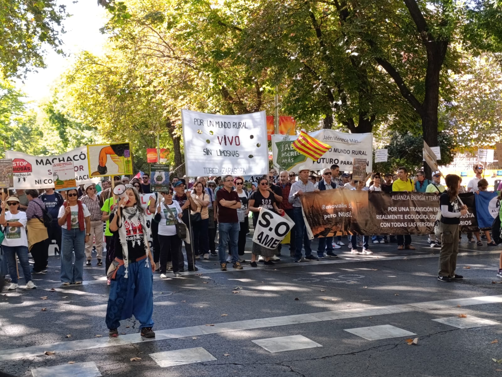 WhatsApp Image 2025 10 06 at 20.18.51