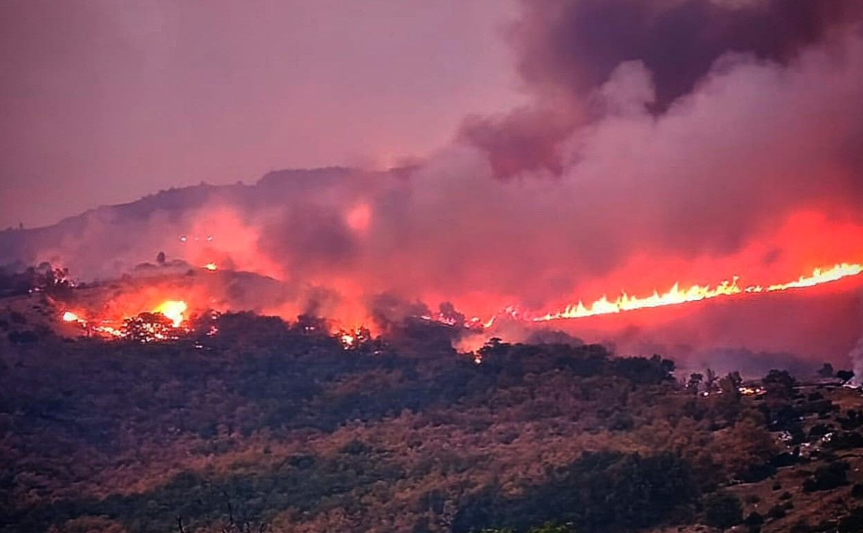 Incendio Pico Lobo