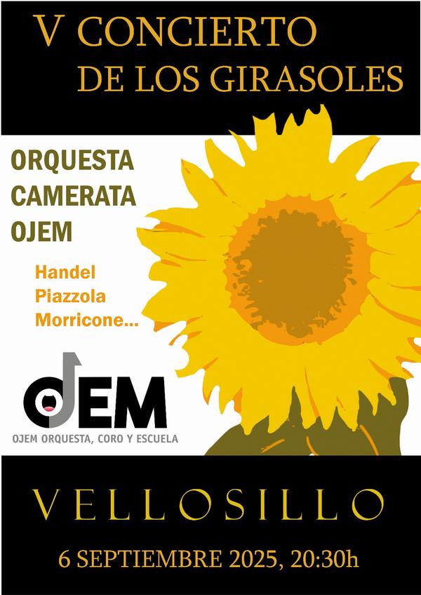 girasoles 2025 600 proporcional