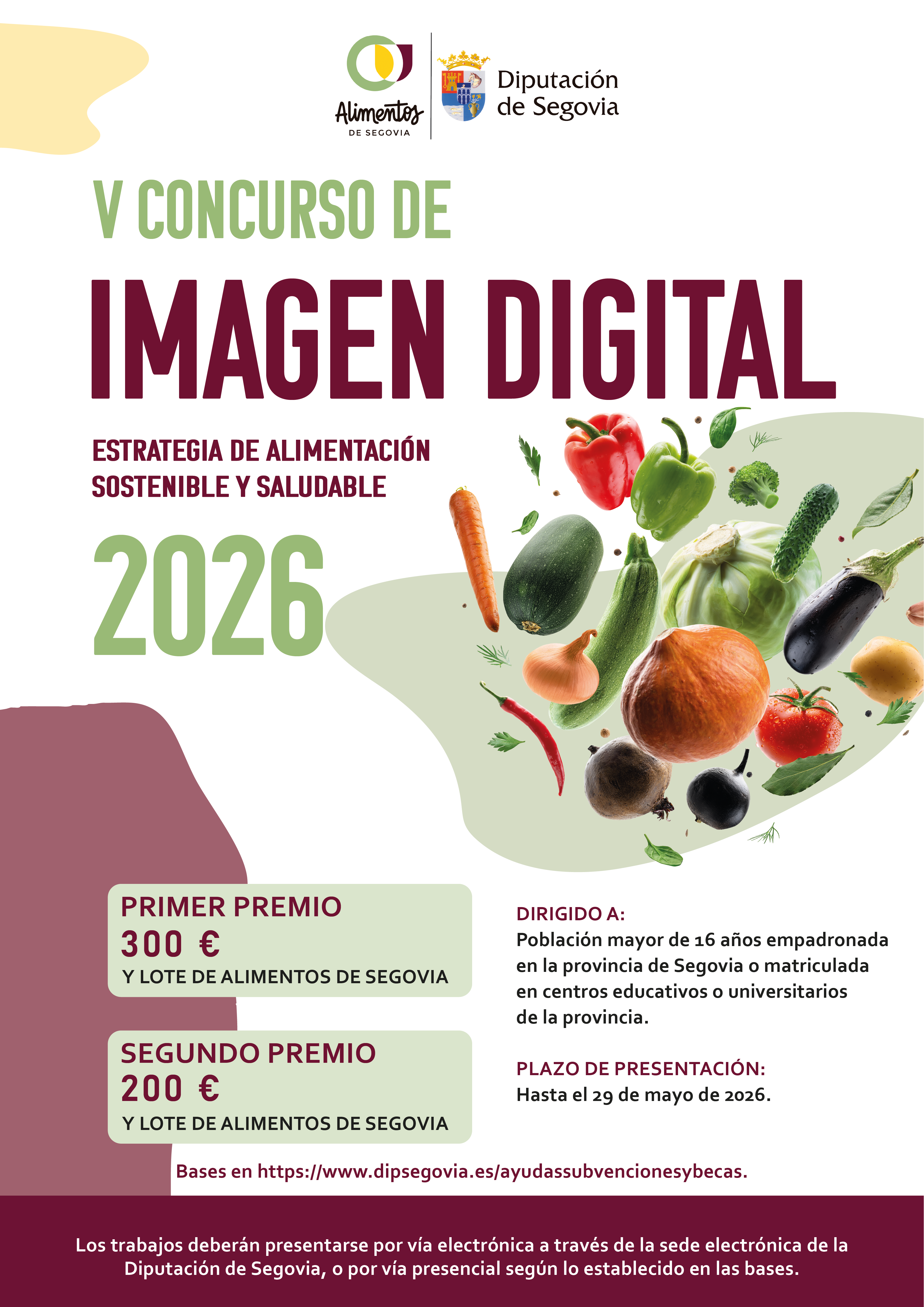 CARRTEL V CONCURSO DE IMAGEN DIGITAL