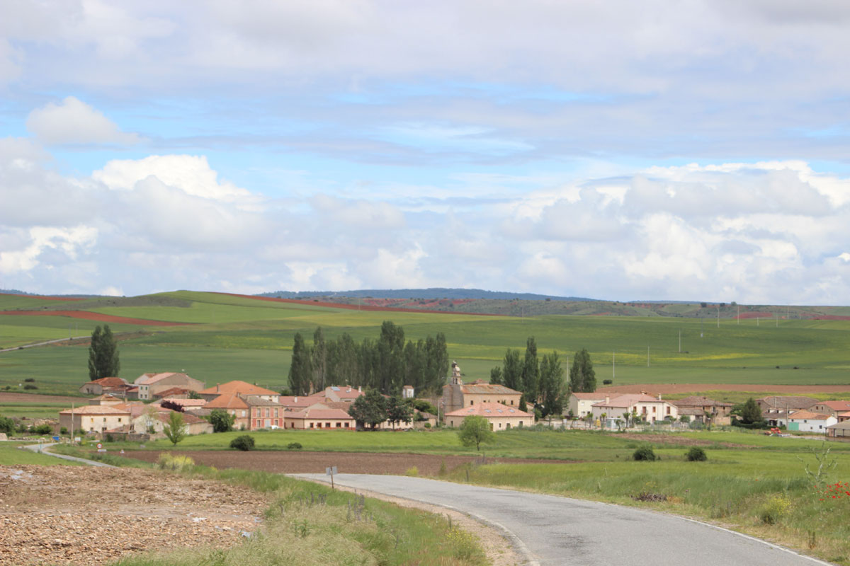 Aldeonte8