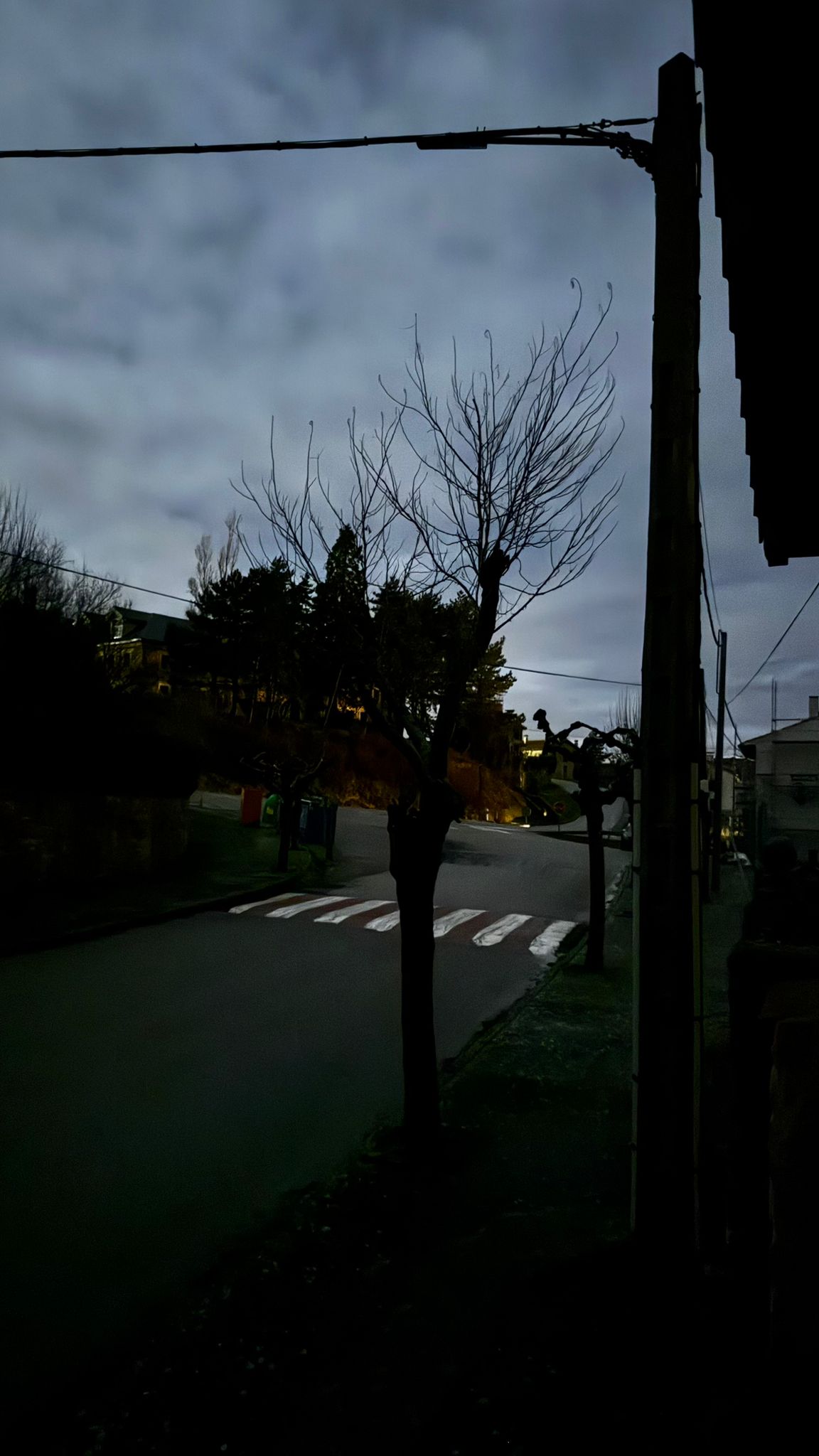 WhatsApp Image 2026 01 28 at 14.11.46