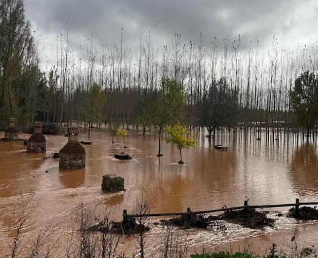 Captura de pantalla 2026 02 11 202659