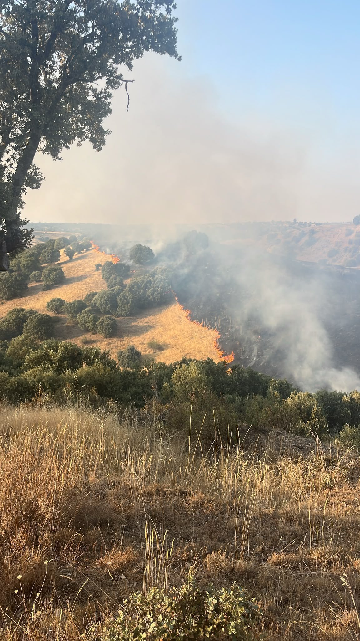 incendio cerezo