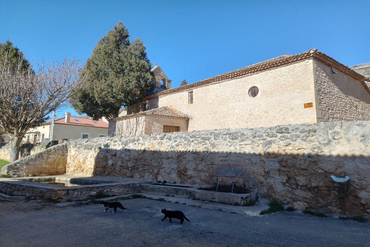 Alconda de maderuelo