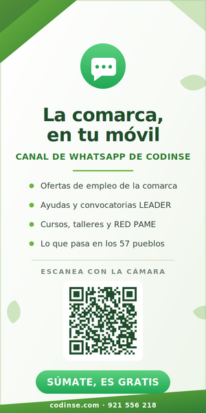 Canal whastsApp CODINSE