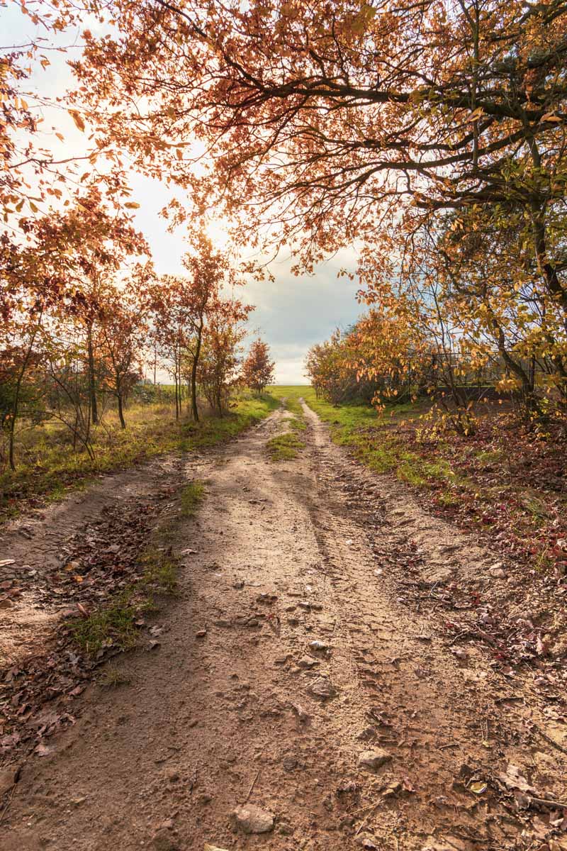 La importancia de los caminos es más grande de lo que pensamos / FOTO: TOMAS VIDZRAL.