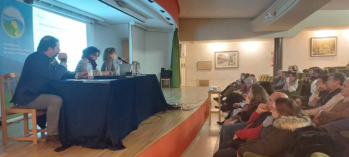 imagen de la jornada de vivienda que CODINSE organizó el año pasado en la localidad de Riaza.