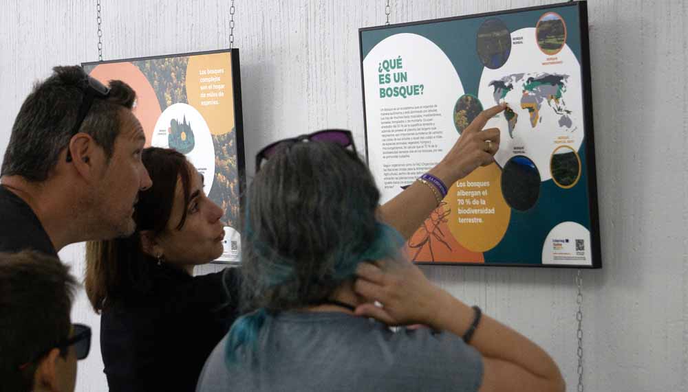 Varias personas contemplan los paneles de la exposición "Bosques complejos", que estará hasta el próximo mes de septiembre.