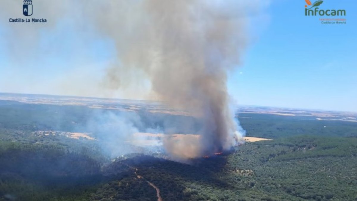 incendio LA MIERLA