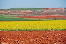 Campos de cultivo a los pies de la Sierra de Ayllón. Javier Civantos