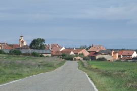Ribota