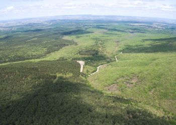 Panorámica del piedemonte en el entorno de la ermita de San Benito. 2024