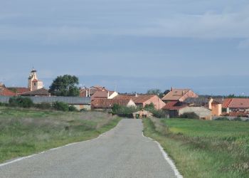 Ribota