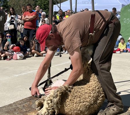 Foto: Ayuntamiento de Riaza.