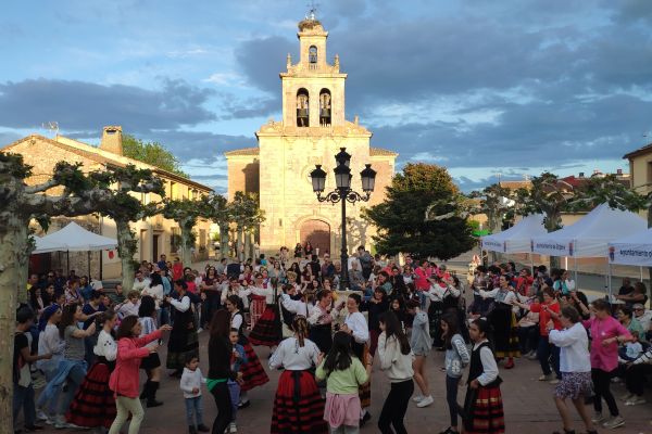 Imagen de la jornada del año pasado en la localidad de Boceguillas.