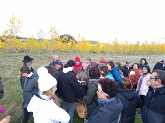 Participantes en las jornadas micológicas organizadas en Fresno de Cantespino