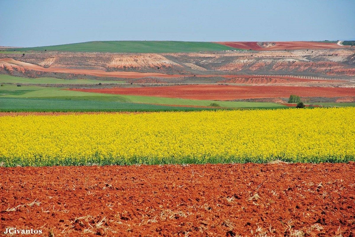 Campos de cultivo a los pies de la Sierra de Ayllón. Javier Civantos