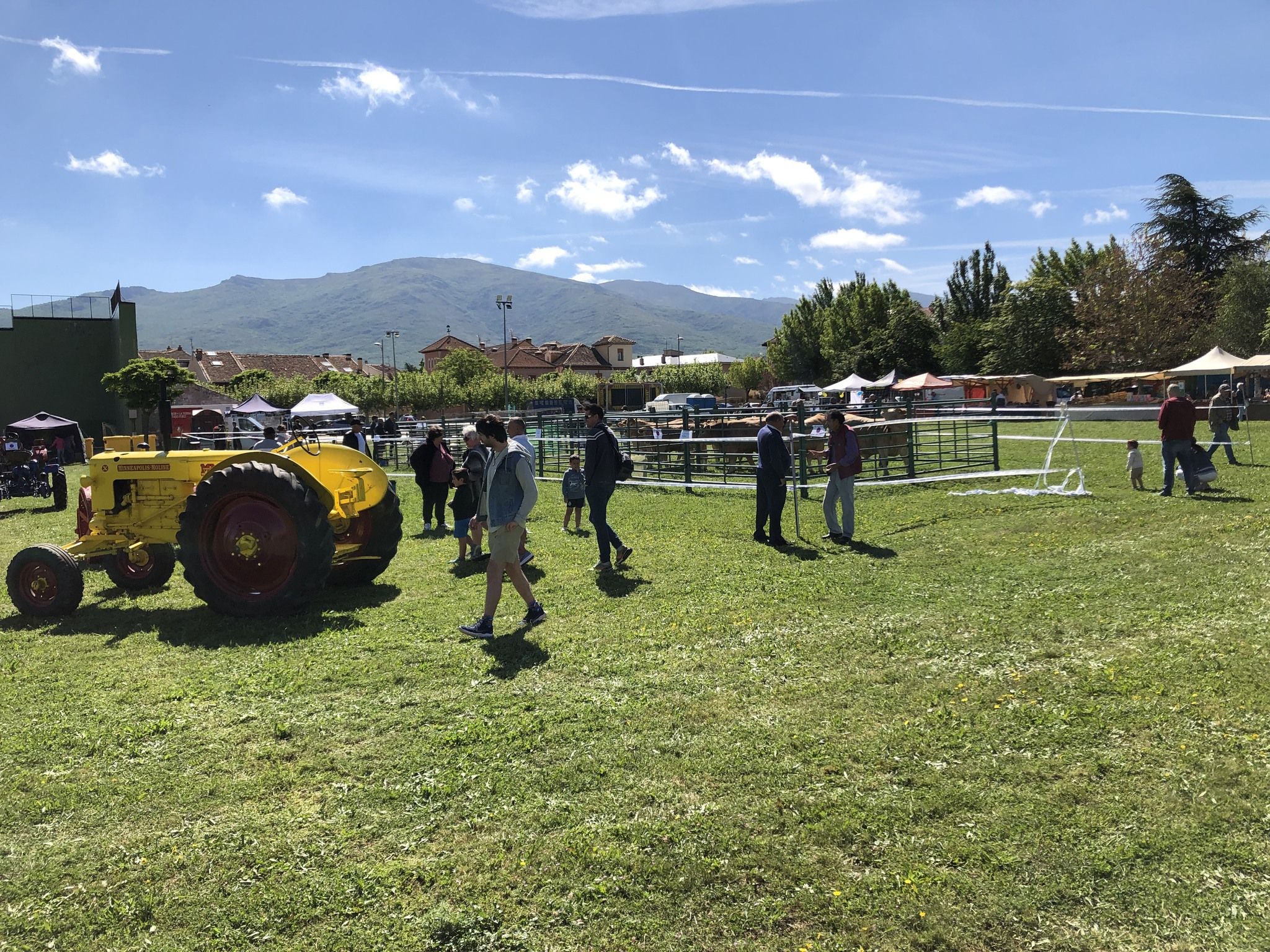 Además de la muestra de esquileo, los visitantes pudieron disfrutar de otros atractivos. / FOTO: AYTO. RIAZA