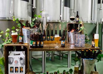 Por la entrada de esta fábrica de cerveza artesanal confluyen dos cañadas, la Real Segoviana y la Real Soriana Occidental.