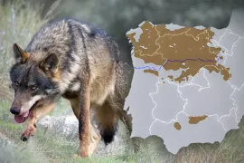 Foto: Miteco / Edición: Paula Andrade