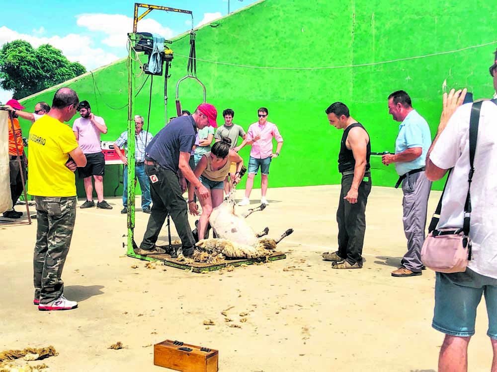 Imagen de la exhibición de esquileo hace dos años.