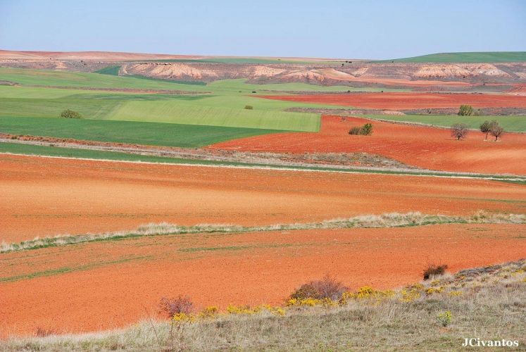 Foto de Javier Civantos