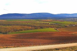 Campos y dehesa cerca de Sotillo