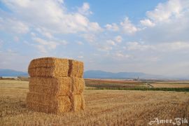 Foto de Javier Civantos